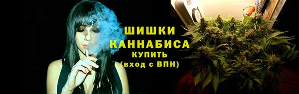 хмурый Сосновка