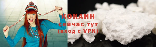 хмурый Сосновка