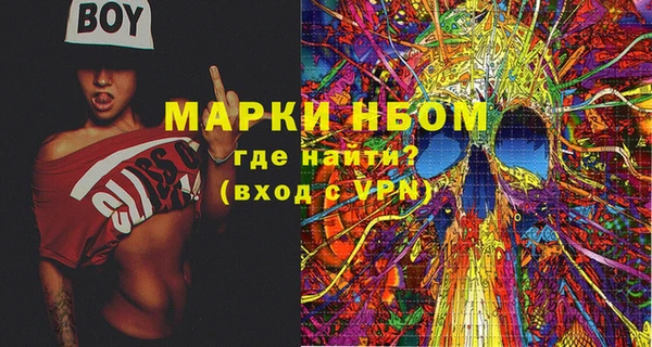 хмурый Сосновка