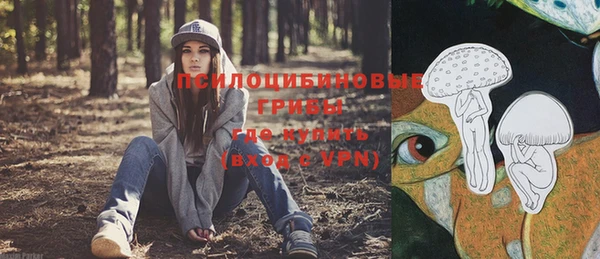 синтетический гашиш Сосновоборск
