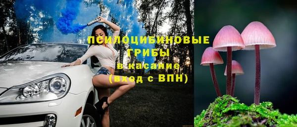 синтетический гашиш Сосновоборск