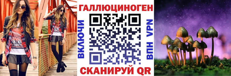 Галлюциногенные грибы мицелий  Купить закладки  Гусев 